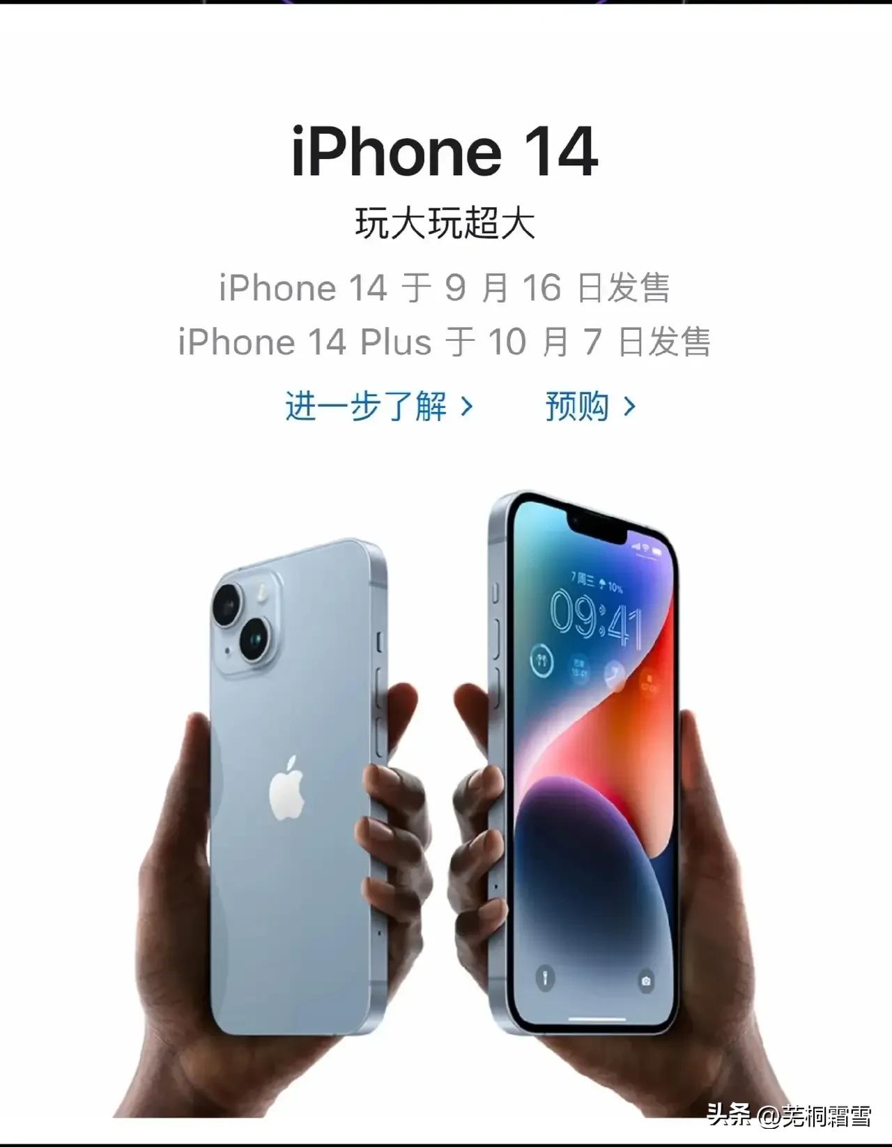 苹果为什么那么多实体店,关于苹果你想了解什么