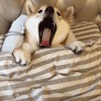 中国人下南洋如何白手起家,白手起家的人特征