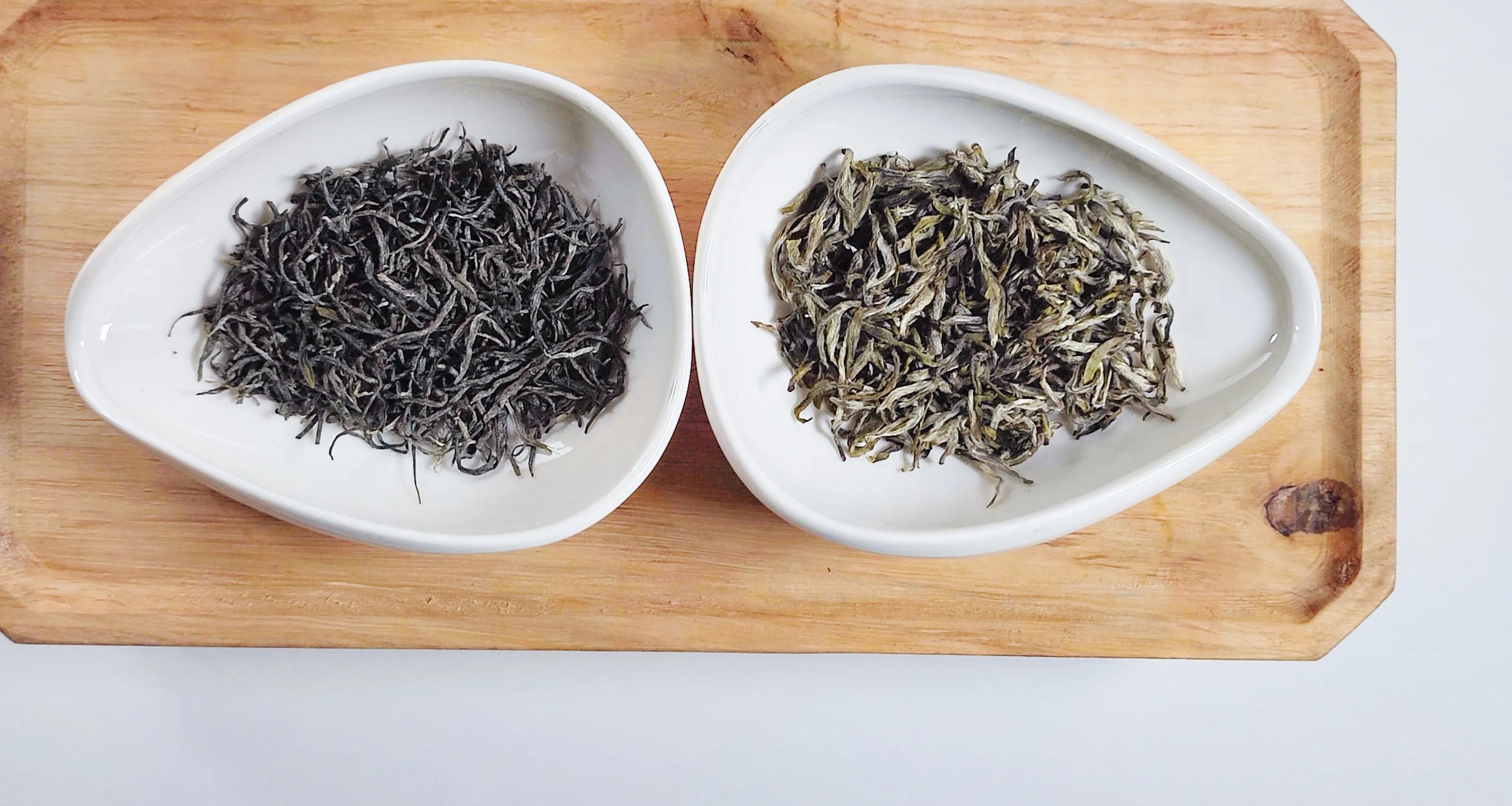 信阳毛尖茶和川茶,川茶和信阳毛尖的区别