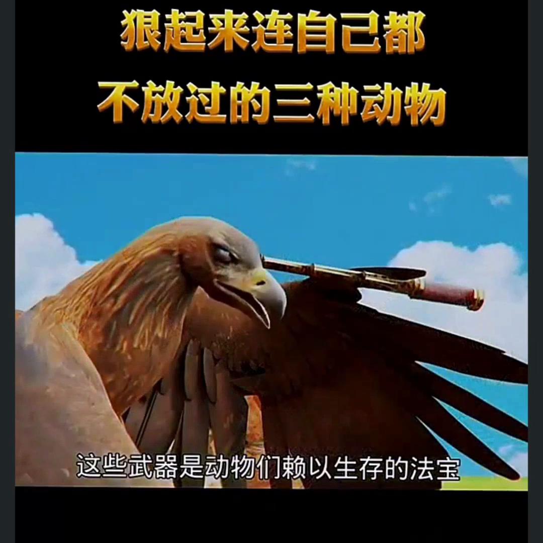 袋鼠妈妈官方旗舰店精华,袋鼠妈妈官方护肤旗舰店