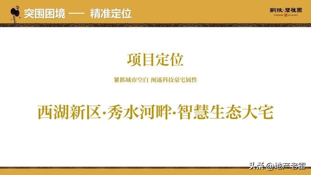 碧桂园房地产竞品分析,碧桂园房地产价格策略