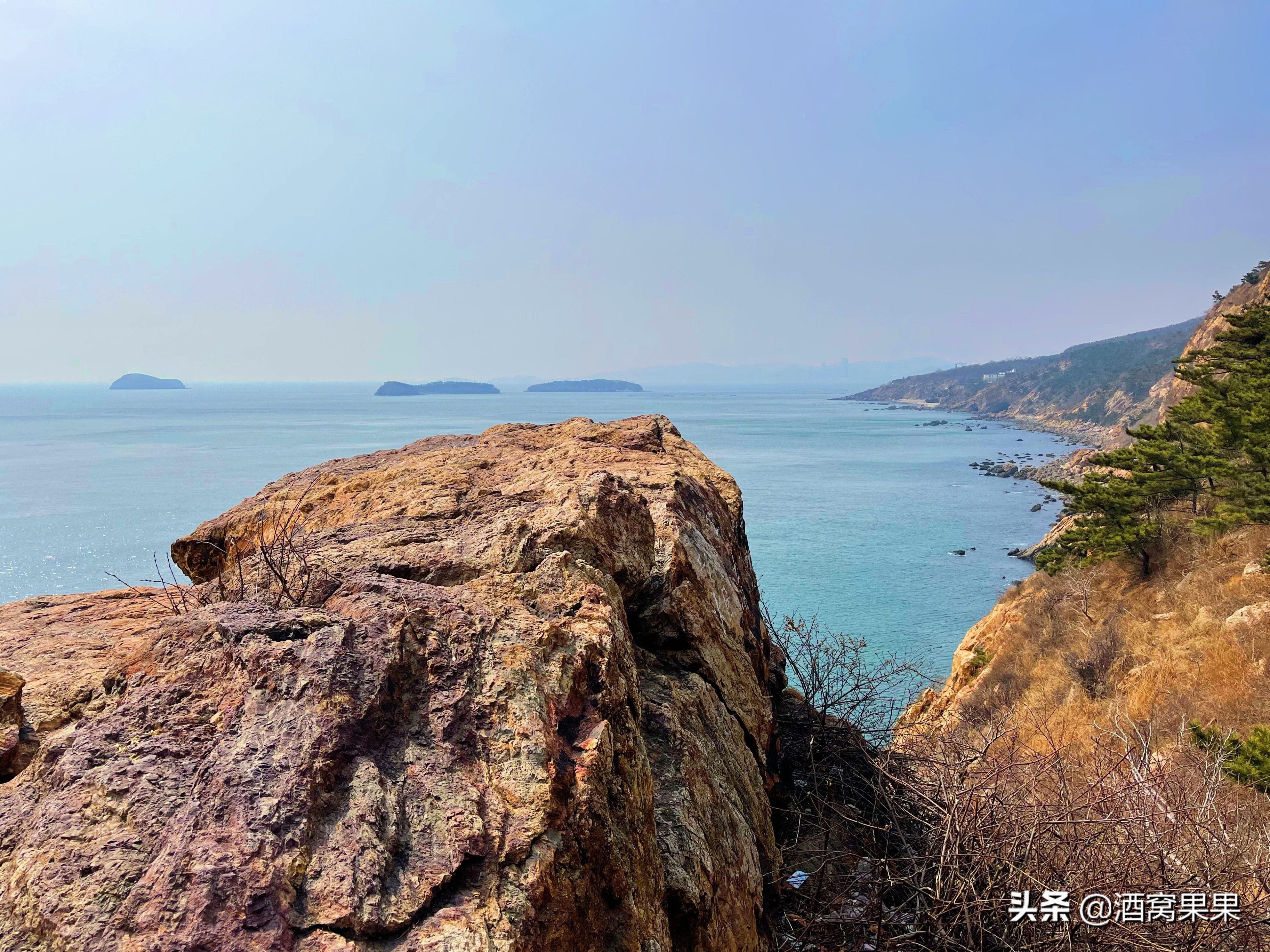 大连燕窝岭赶海时间表,大连免费赶海的燕窝岭