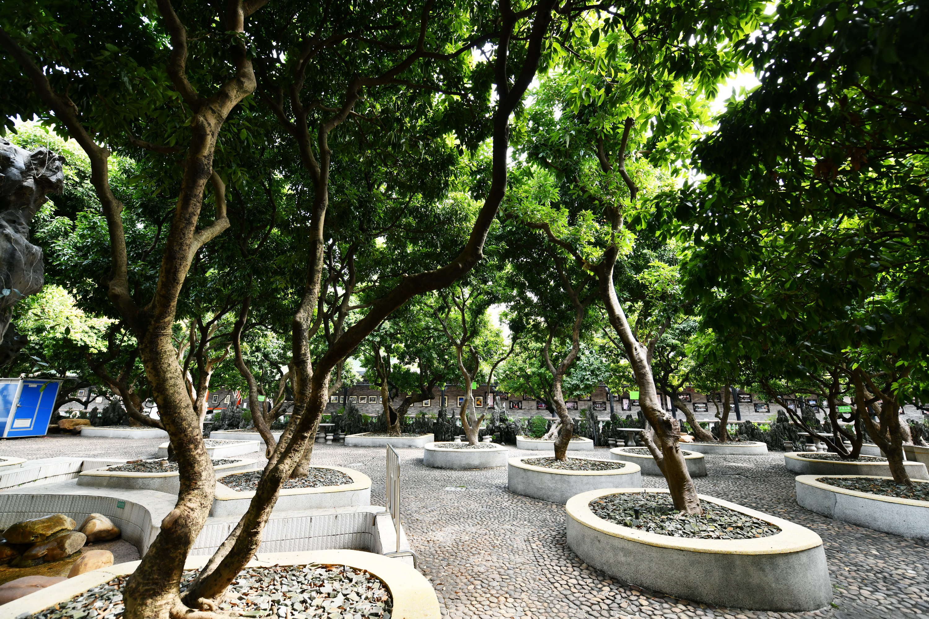 广州市番禺区宝墨园攻略,广州宝墨园景观