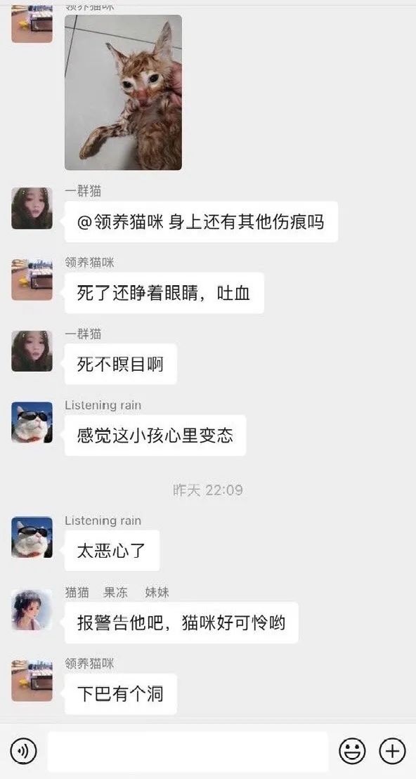虐猫的人是一种什么心理,虐猫的人也会虐狗吗