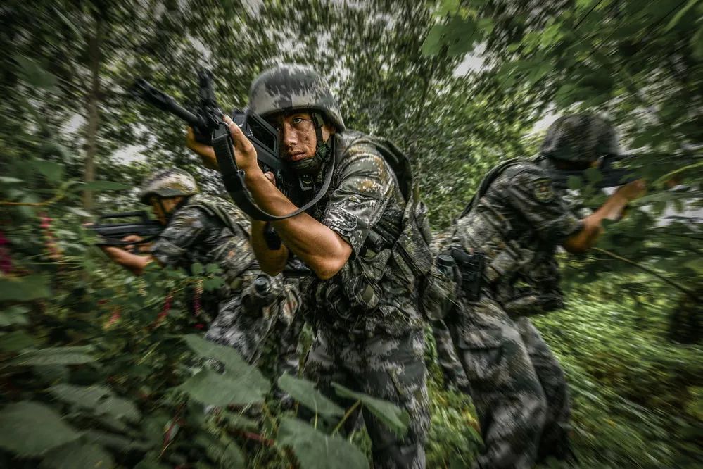 第71集团军“中野虎师”：“虎”为荣誉名，虎气霸屏！