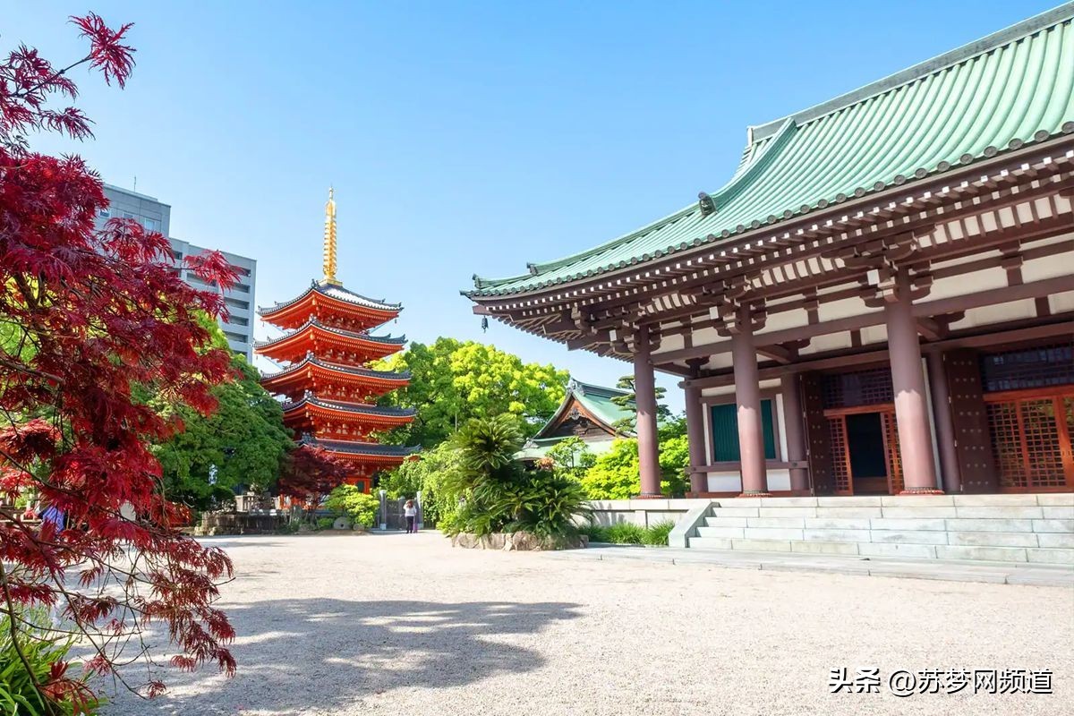 绂忓唸kota,绂忓唸zumba