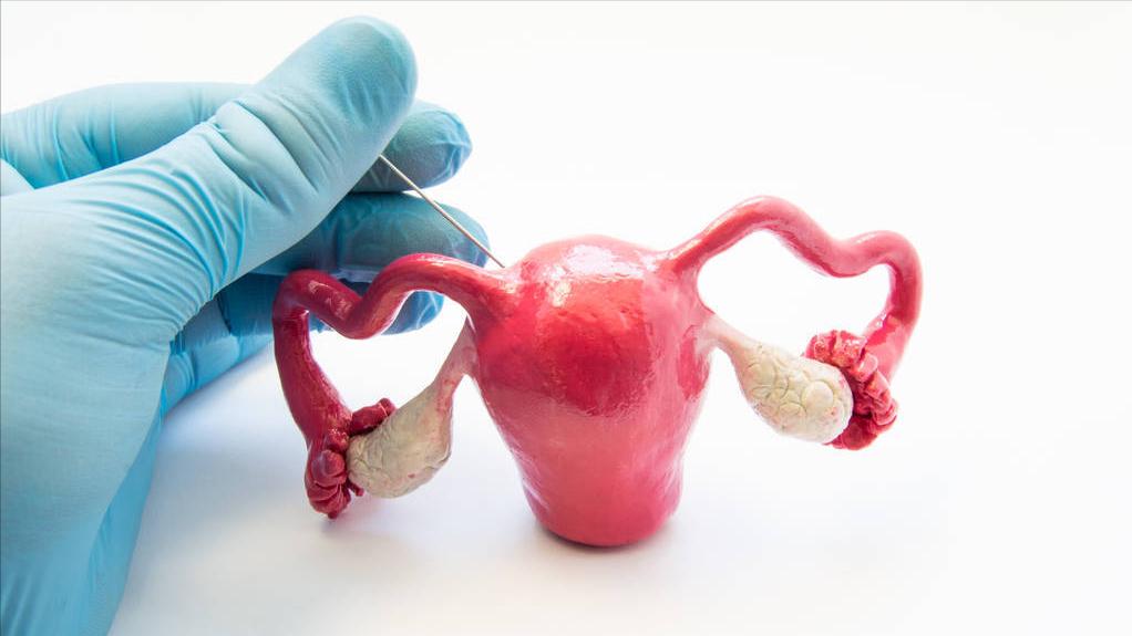 70岁以上老人的生活建议,老年人还能再婚或同居生活吗