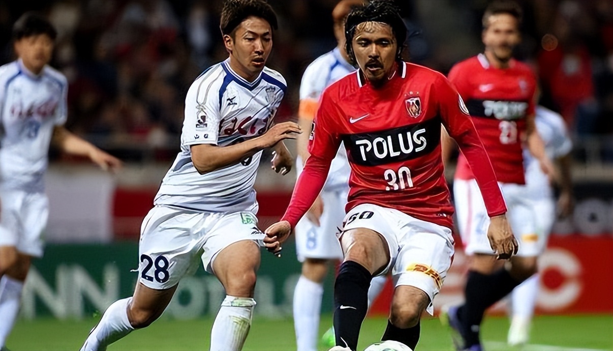 日职乙新泻天鹤vs熊本深红预测,日职乙甲府风林vs雷法山口