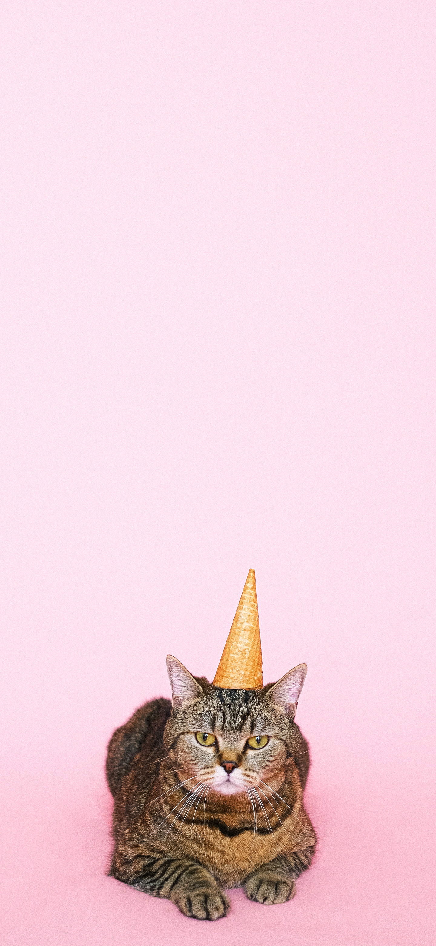 可爱的壁纸女生专用粉色系,超级可爱少女心壁纸粉色系动漫