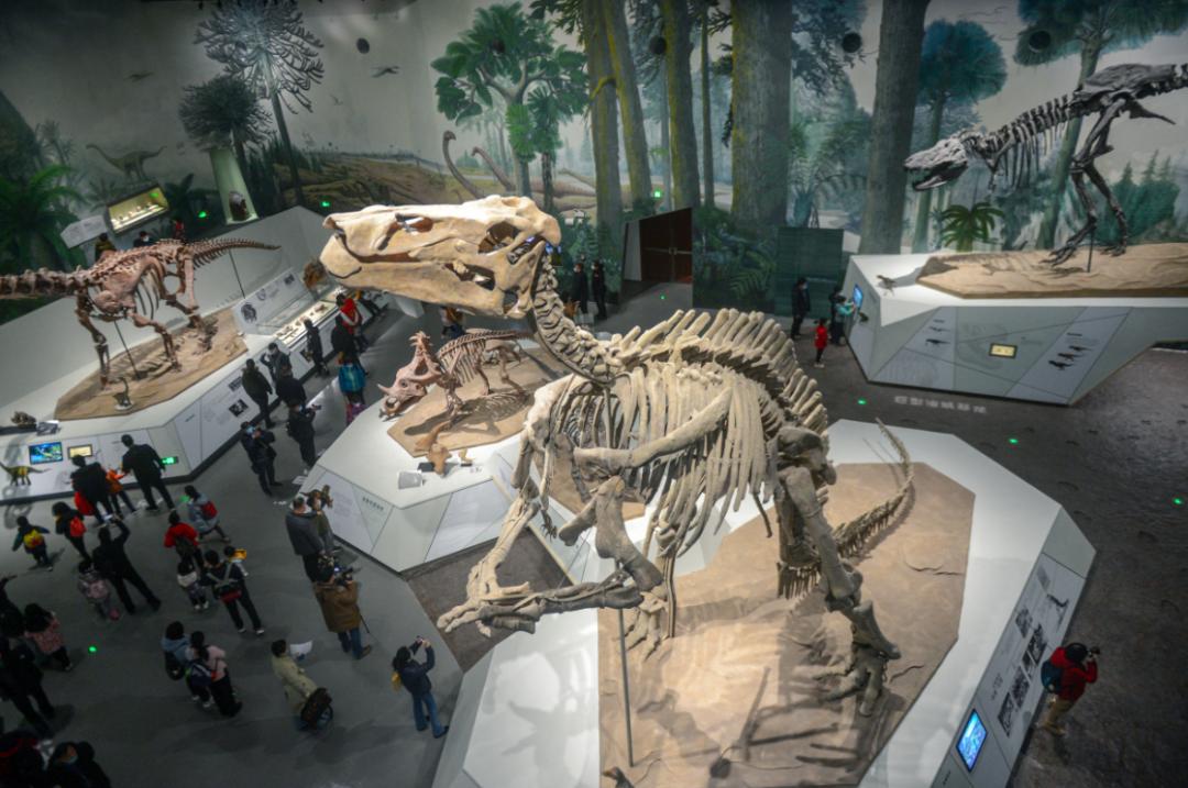 中国十大恐龙图鉴,100种恐龙名字图鉴图文