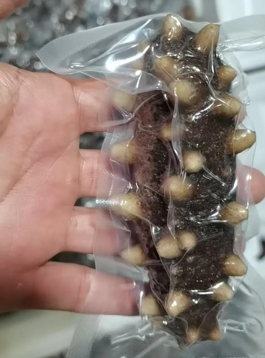 最便宜的海参骗局,便宜海参骗局