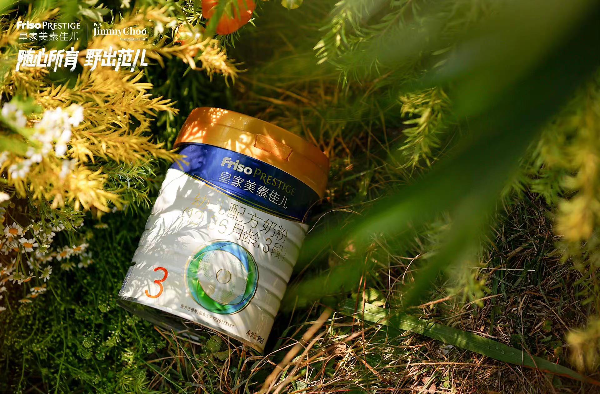 菲仕兰在中国投资计划,菲仕兰电商