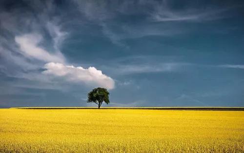 人生要想有所成就的话,人生想要成功有多难