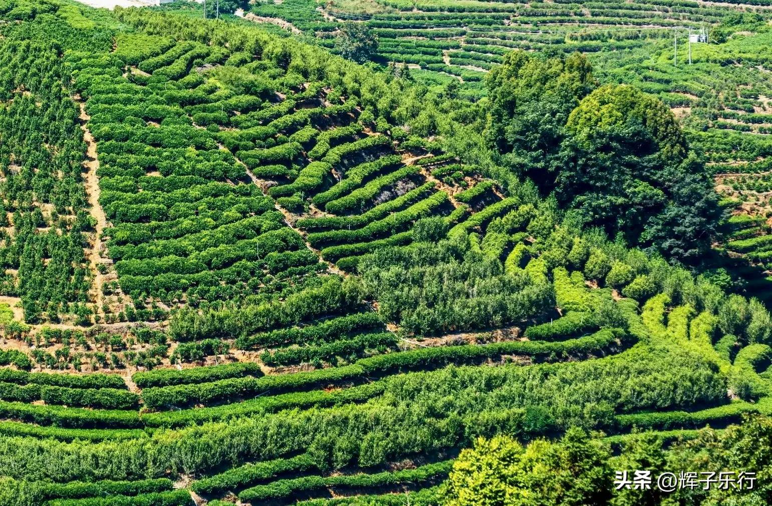 广东潮州凤凰海棠花谷，风光旖旎，3条绝美徒步线路值得一走