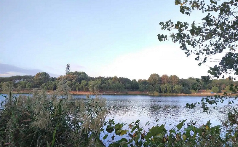 南京免费景点排行榜前十名,南京旅游年卡免费景点一览表