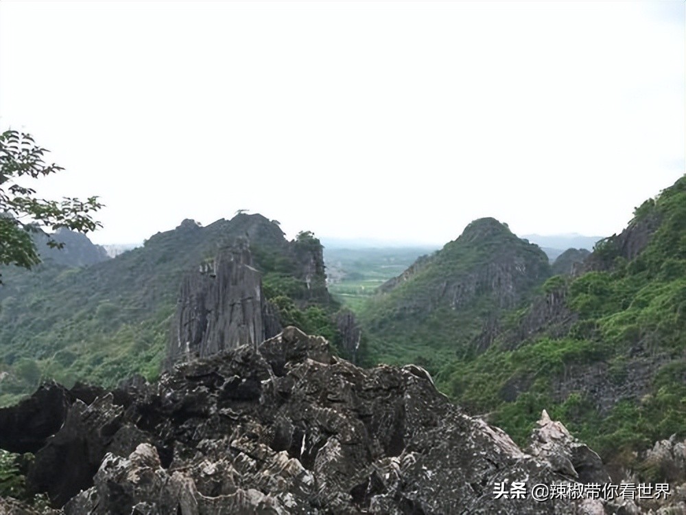 海岸线：邂逅*江阳**——感受这座慢节奏小城文化底蕴感悟人文之美