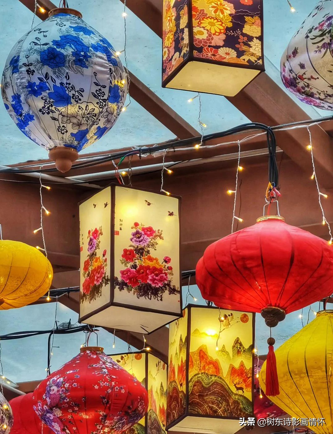 三亚红树林三亚特色,感受春天的气息和享受春天的美景