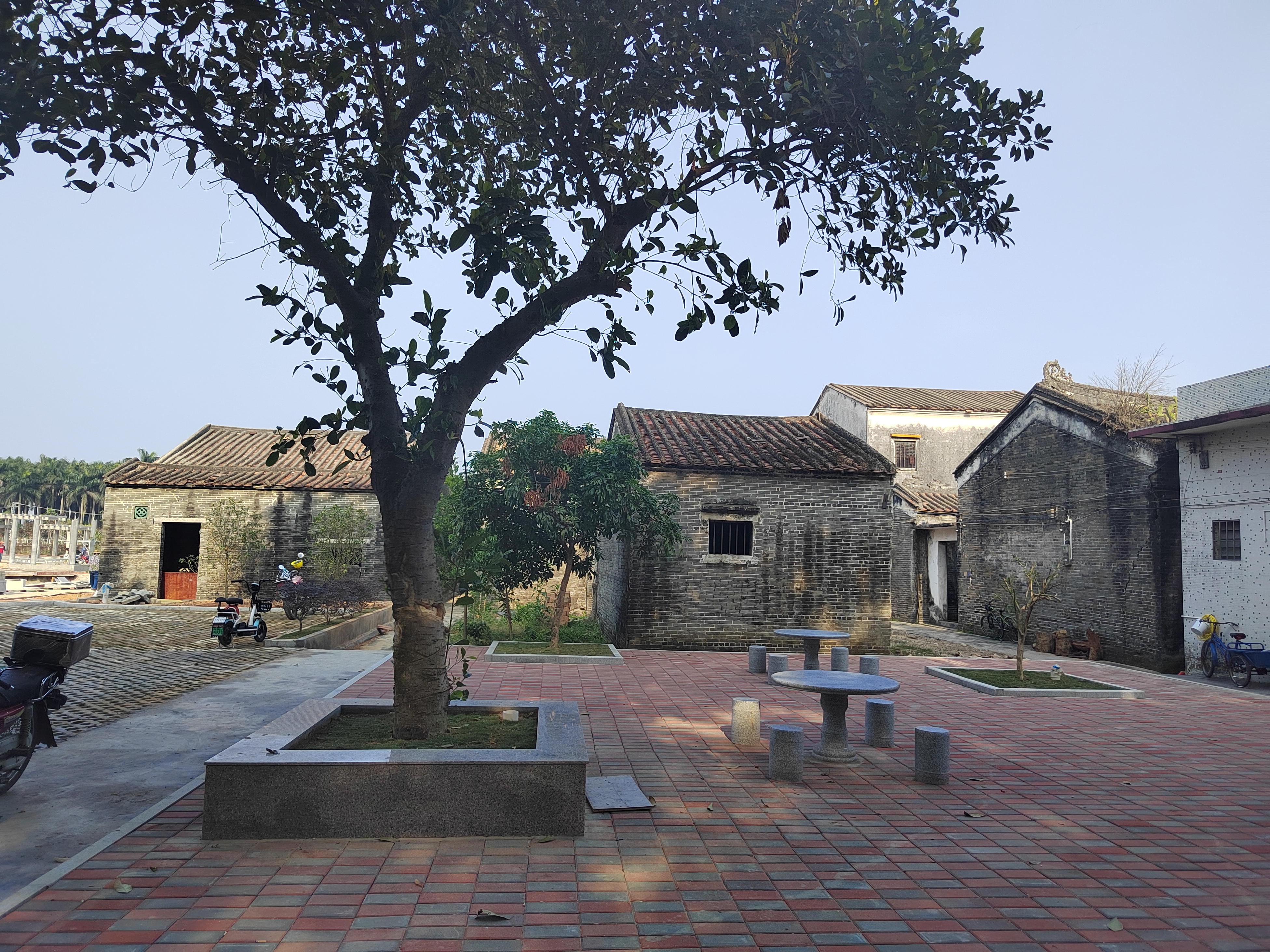 江门新会旅游景点小鸟的天堂,新会小鸟天堂历史记录