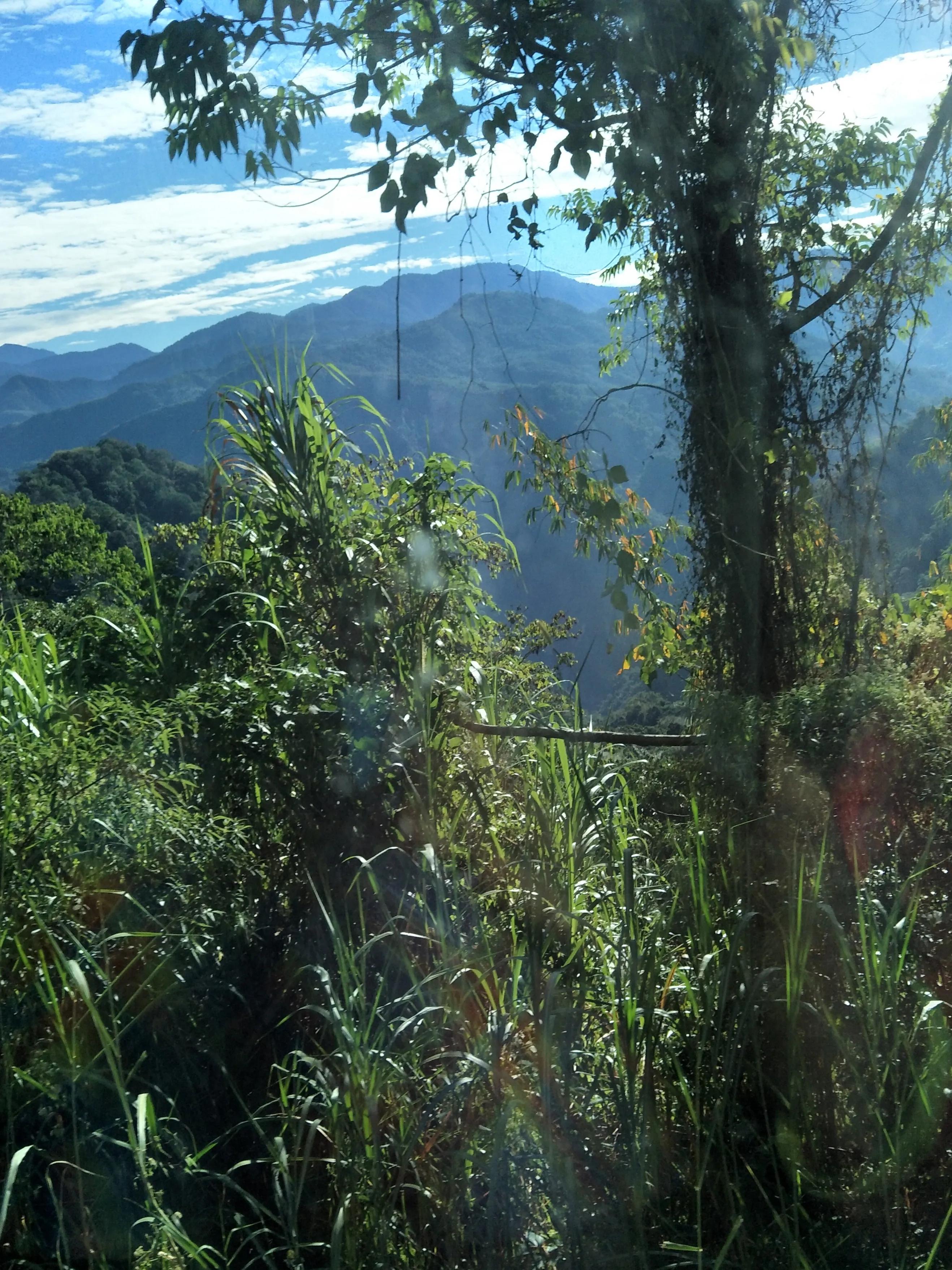 阿里山的云雾让人惊愕的是什么,阿里山的云雾莫名的惊愕和喜悦