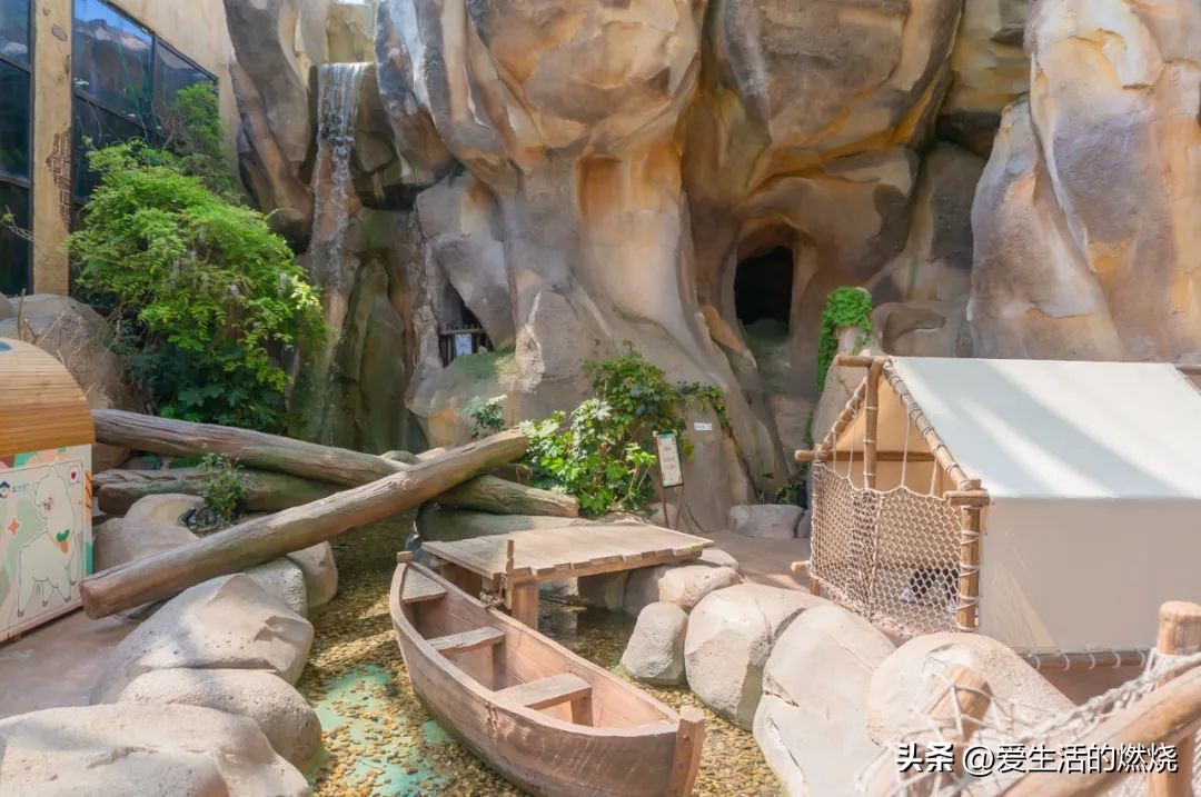 杭州森泊开元度假酒店不含门票,杭州开元森泊度假酒店存在的问题