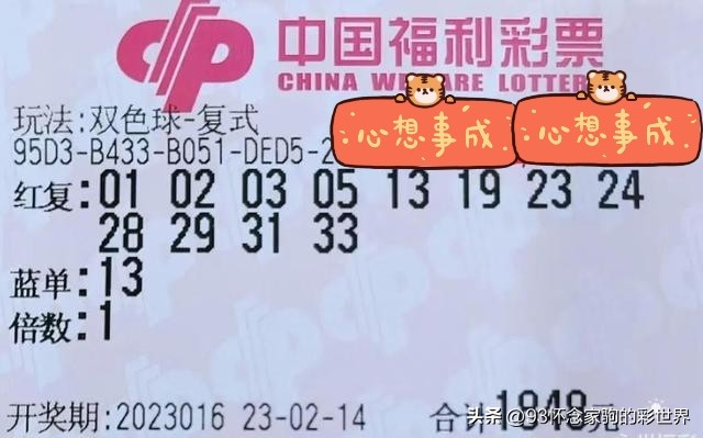 双色球22116期万元晒票汇总,双色球23041期万元大复式晒票总汇
