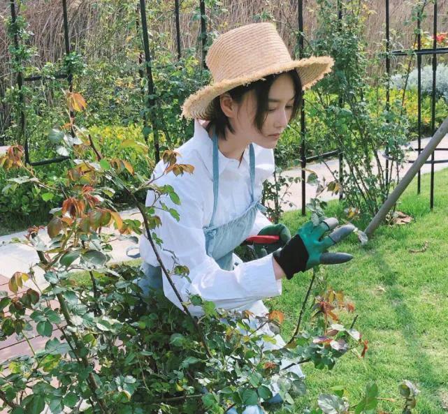 靠着婚姻洗白的女星,这些成功洗白的女星你喜欢谁