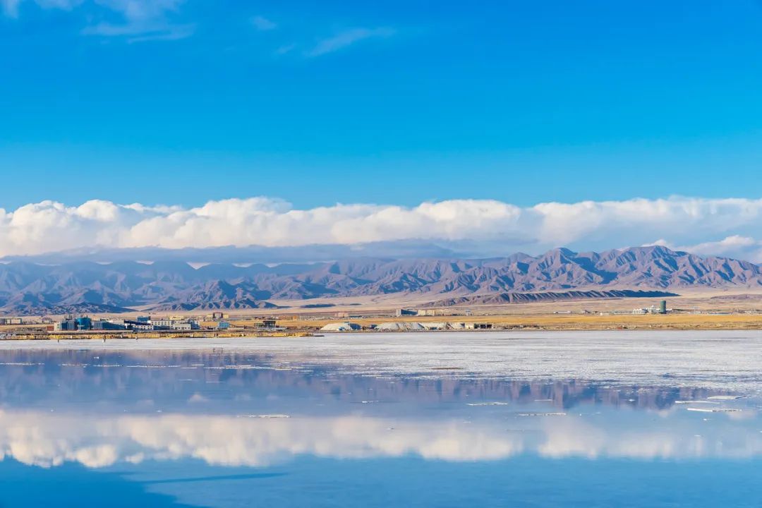 夏天哪里看油菜花最美,夏天去哪里看油菜花最好