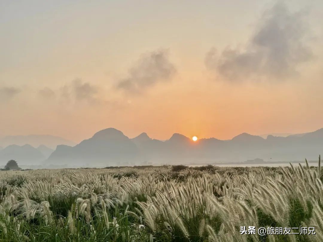 广州出发-英德1天游，美拍狗尾巴草，打卡巧克力小镇，千亩茶园
