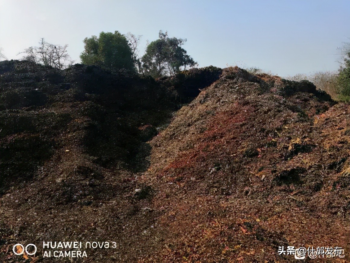 网友“q412249”、“繁荣什邡”、“xuxuaini”……你们反映的问题有官方回复了