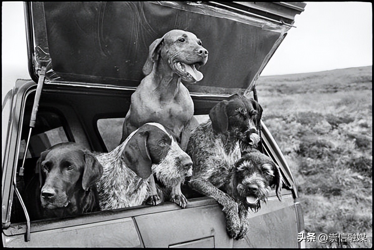 街拍摄影大师作品欣赏,摄影街拍大师作品