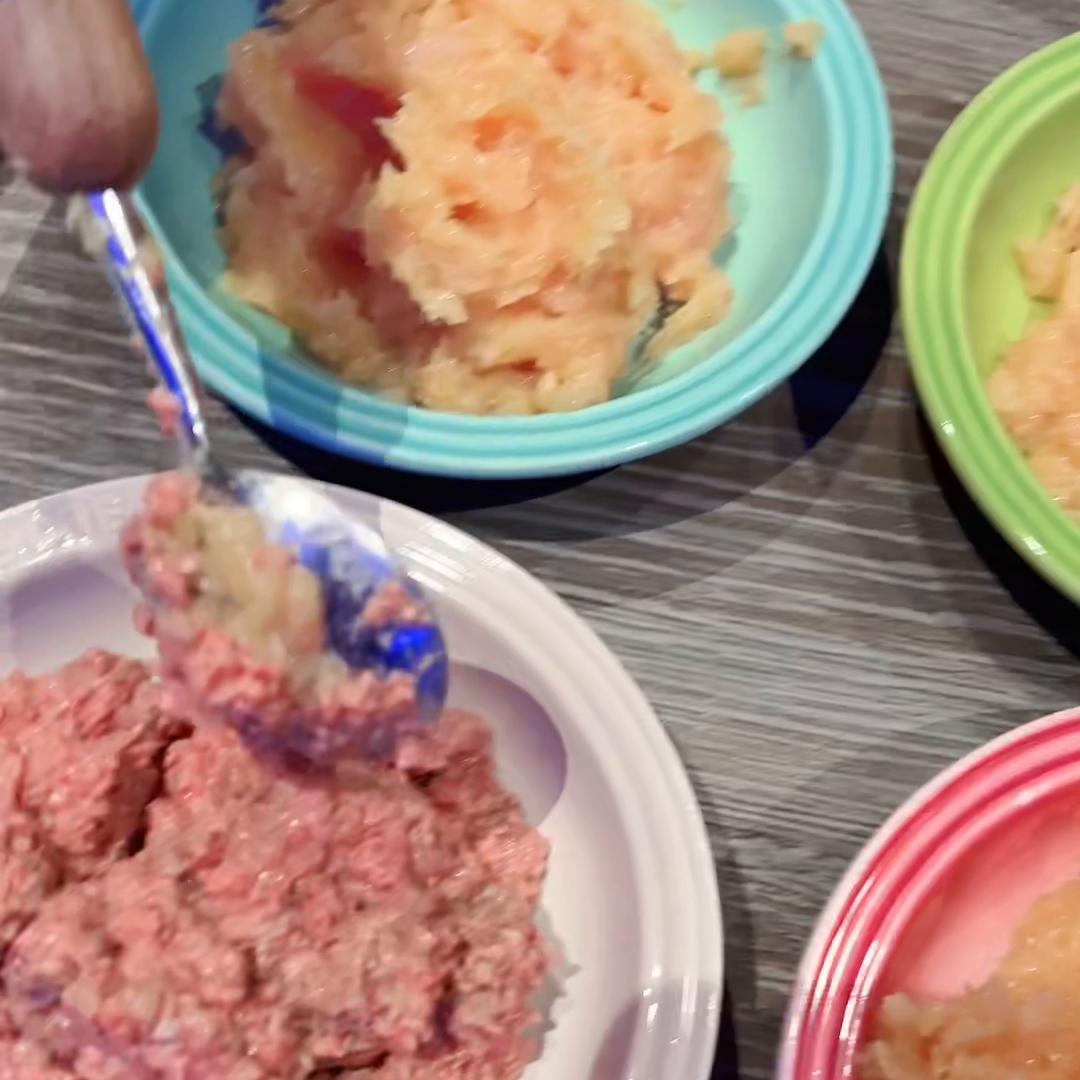 四个月布偶猫可以直接喂生骨肉吗,布偶猫喂养技巧图解