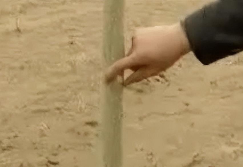 182万买手机靓号，诈骗13亿入狱，“万里大造林”的*相贵陈**，东山再起