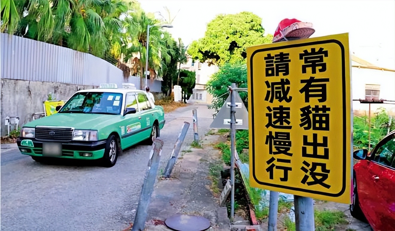 撞到猫狗须报警！不善待动物，你在香港可能面临牢狱之灾