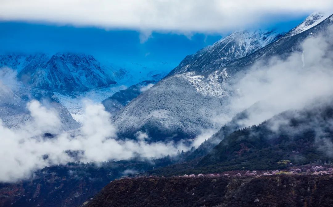 雷军创业者必须具备的4个特质,雷军分享3个创业秘籍