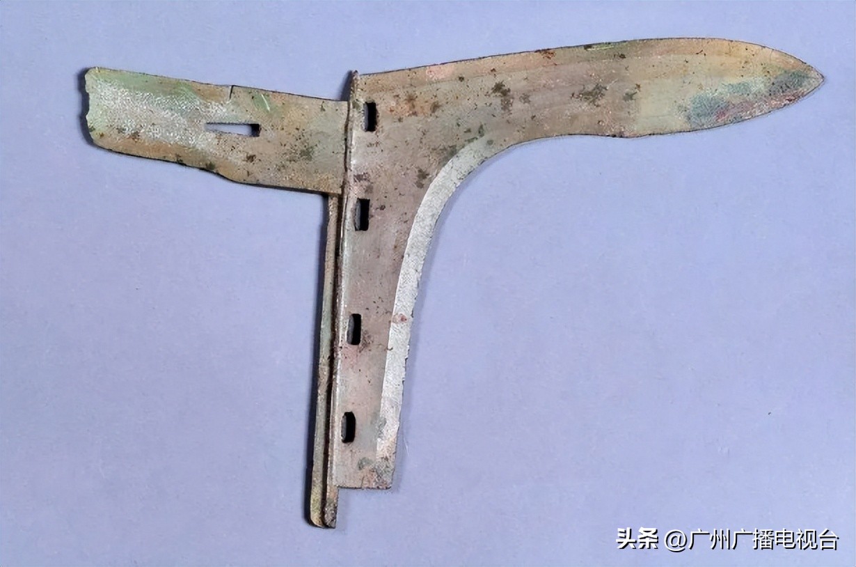 广州市省博物馆参观攻略,go带你去看世界