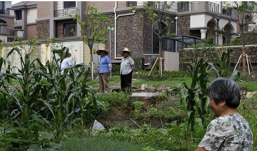 苏州钉子户被豪宅包围荒废,江苏苏州最牛钉子户现在拆了吗