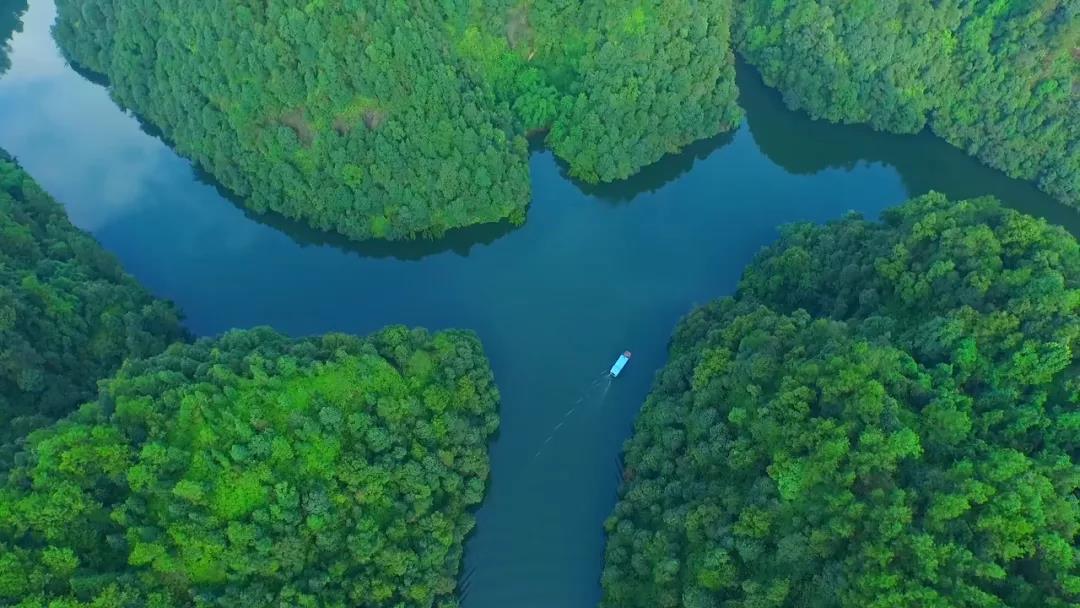 内江网红夜景打卡景点视频,内江打卡风景