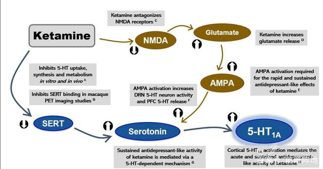 抑郁症攻克最新进展,抑郁症最新研究资讯