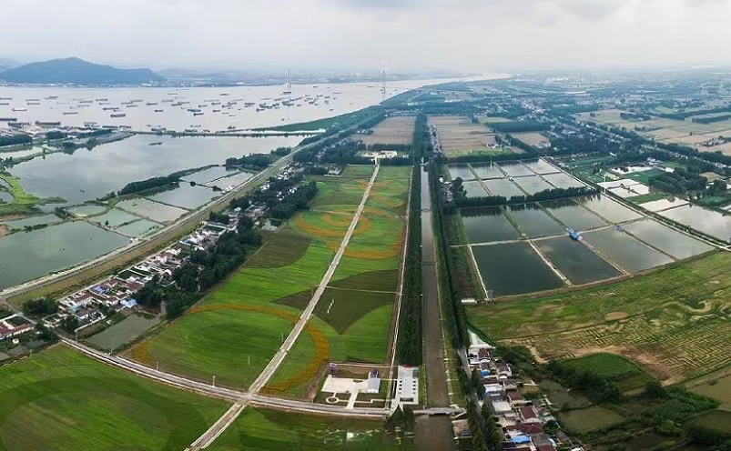 南京遛娃免费景点有哪些,南京免费景点一日游攻略