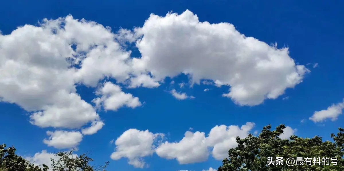 买相机滤镜需要注意什么,买单反必备配件