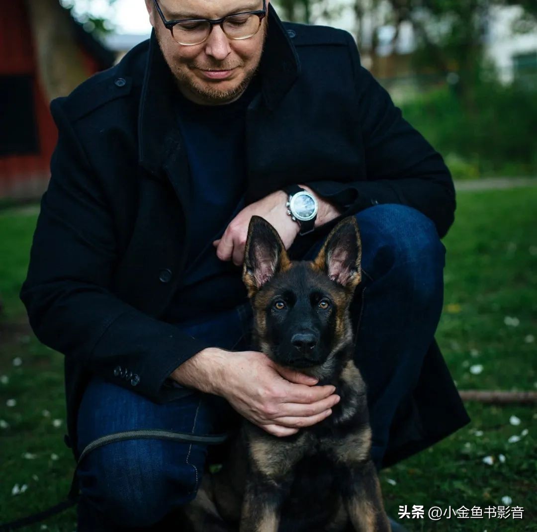 美版“欧维去死”！烂番茄冲到97%了！