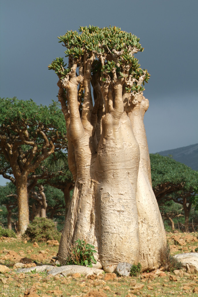 世界十大必看的自然景观,世界最震撼的二十个自然奇观