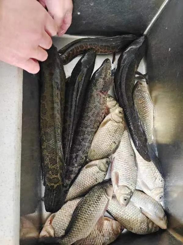 亲情隔不断，外甥们接力照顾，不禁感叹时光匆匆他们一转眼长大了