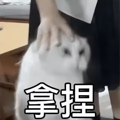 如何提取视频里的音乐,怎样在视频中添加音乐和歌词