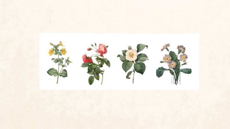 正片叠底的原理和使用效果,正片叠底应用实例