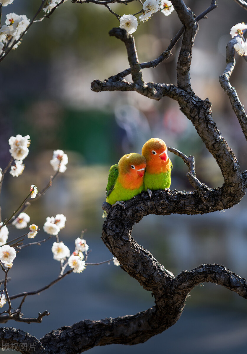 郭进拴走进静升镇,郭进拴原创长篇