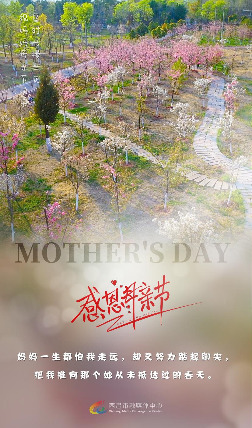 母亲节海报牛奶,母亲节海报