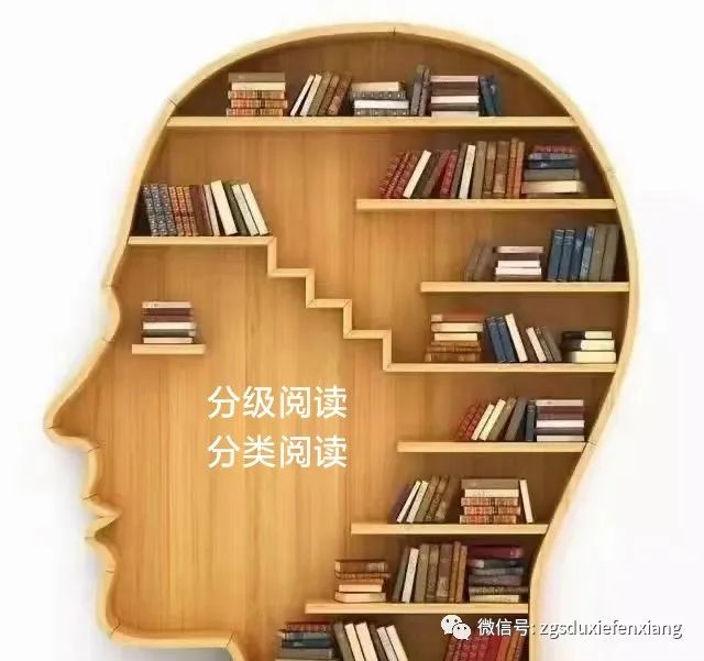 寮犺吹鏍撶幇浠ｆ枃闃呰鎰熸偀,寮犺吹鏍撴暀瀛﹁棰戝畬鏁寸増