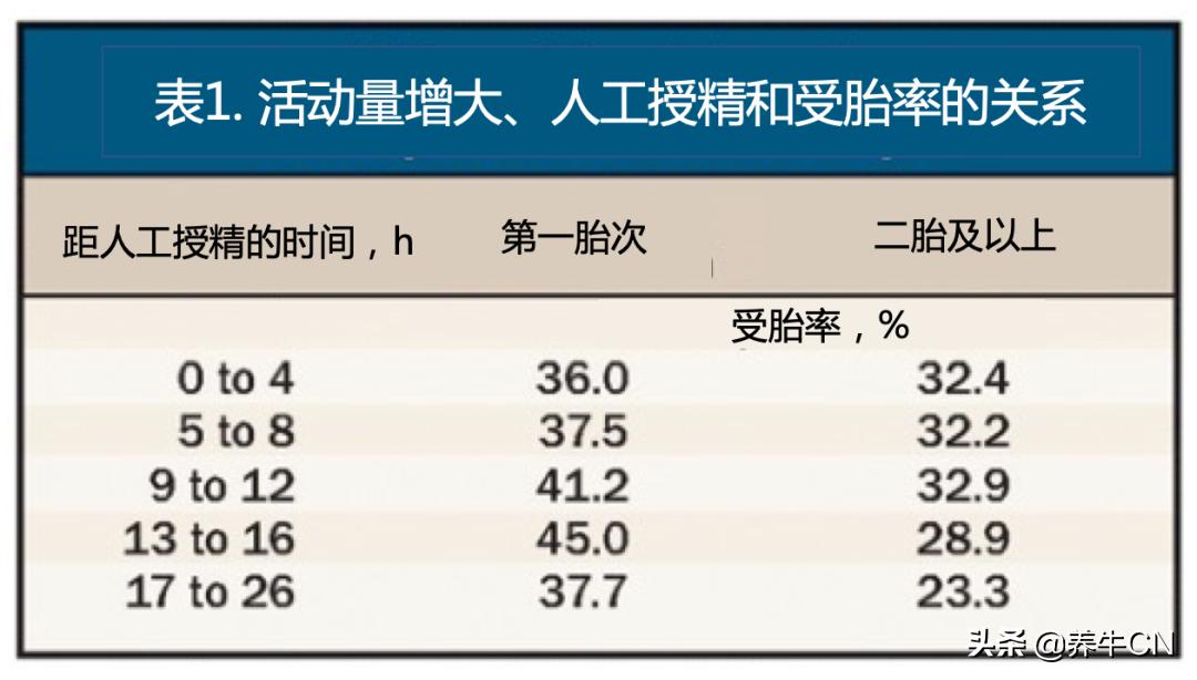 确保奶牛安全产犊的新举措