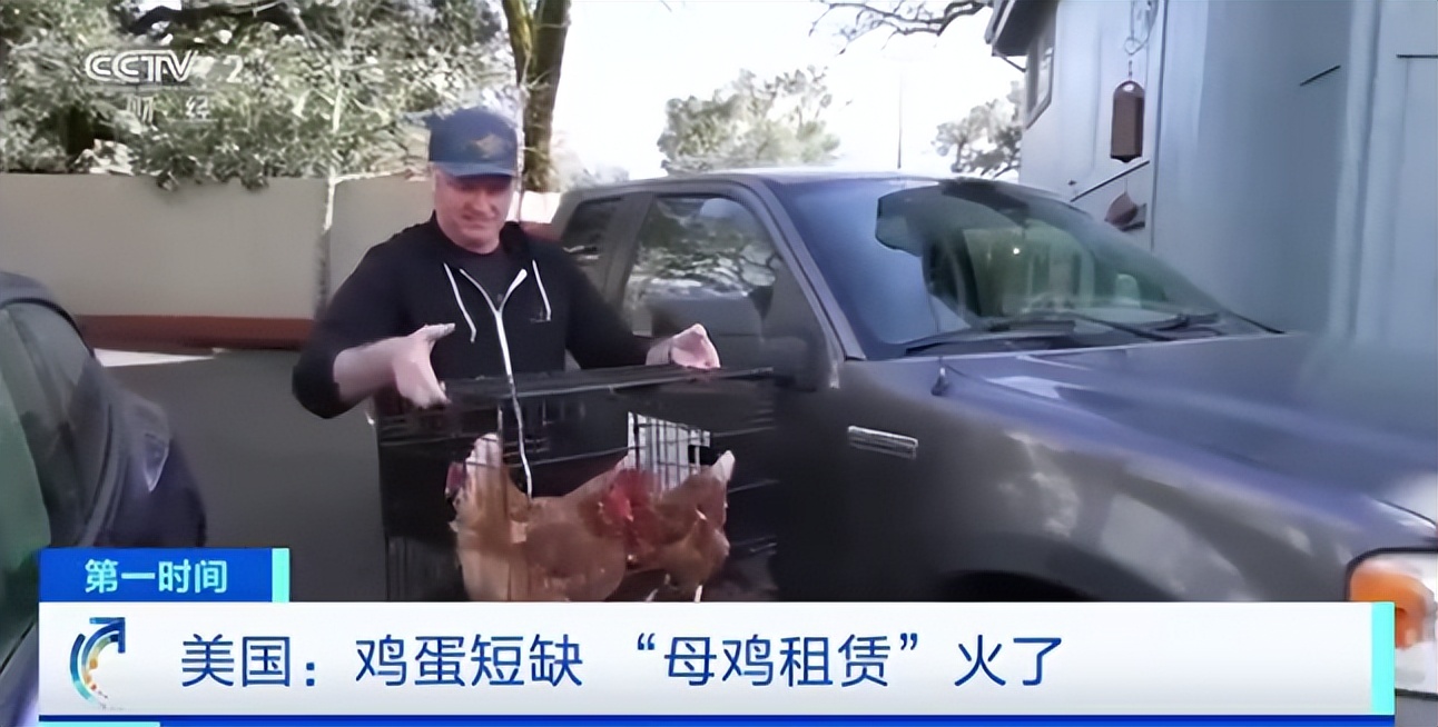 台湾茶叶蛋10元一个,台湾多地限购茶叶蛋